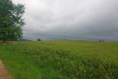 IMG_20260530_094653