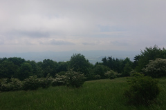 IMG_20260530_104253