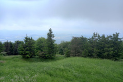 IMG_20260530_104651
