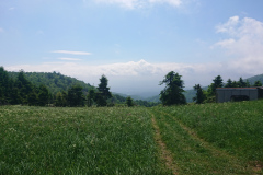 IMG_20260530_115407