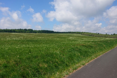 IMG_20260530_121511