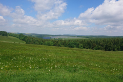 IMG_20260530_123719