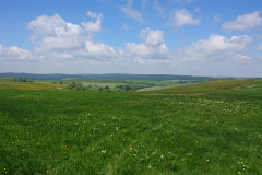 IMG_20260530_123945