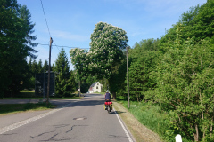 IMG_20260531_092356