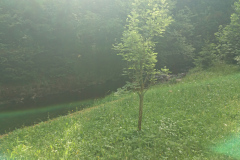 IMG_20260531_095936