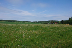 IMG_20260531_103146