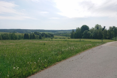 IMG_20260531_103330