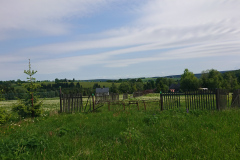 IMG_20260531_104124