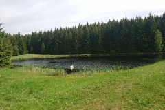 IMG_20260531_104524