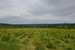IMG_20260531_105256