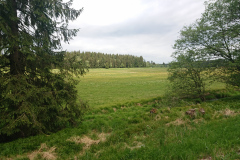 IMG_20260531_105906