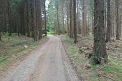 IMG_20260531_110434
