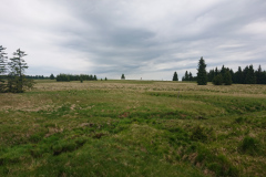 IMG_20260531_112740