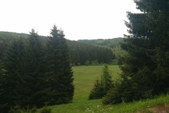 IMG_20260531_121338