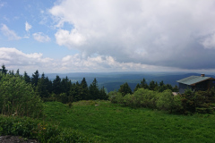 IMG_20260601_124446