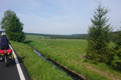 IMG_20260602_095614