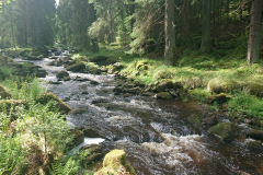 IMG_20260602_101435