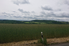 IMG_20260603_104705