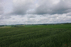 IMG_20260603_113241