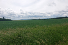 IMG_20260603_113522