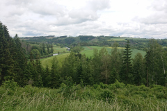 IMG_20260603_120552