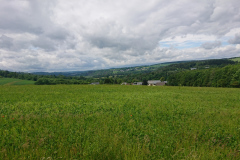 IMG_20260603_125509