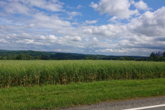 IMG_20260603_154154