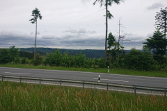 IMG_20260604_105340
