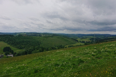 IMG_20260604_111853