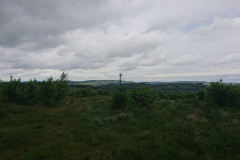 IMG_20260604_112457