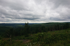 IMG_20260604_113333