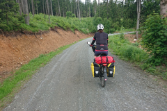 IMG_20260604_114131