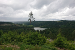 IMG_20260604_133411