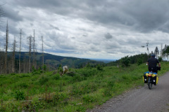 IMG_20260604_140625