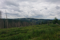 IMG_20260604_140647