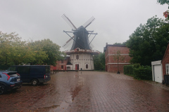 IMG_20260903_101258