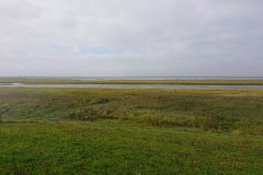 IMG_20260903_130325