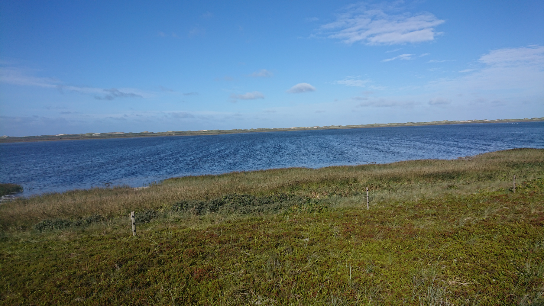 IMG_20260906_103601