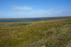 IMG_20260906_102902