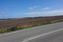 IMG_20260906_110318