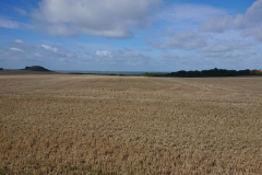 IMG_20260906_111721
