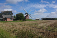 IMG_20260906_130441