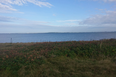 IMG_20260907_093648