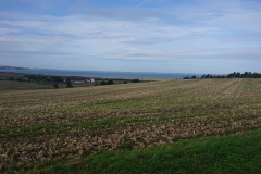 IMG_20260907_094735