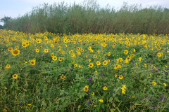 IMG_20260907_110927