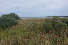 IMG_20260907_111821