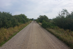 IMG_20260907_111826