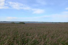 IMG_20260907_112524
