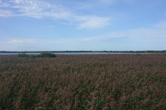 IMG_20260907_112528