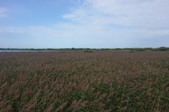 IMG_20260907_112545